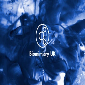 The Future of Sustainability - Biomimicry and Regenerative Design