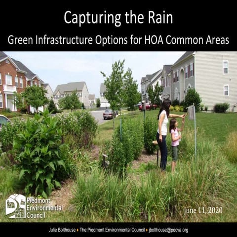 Capturing the Rain - Julie Bolthouse, PEC