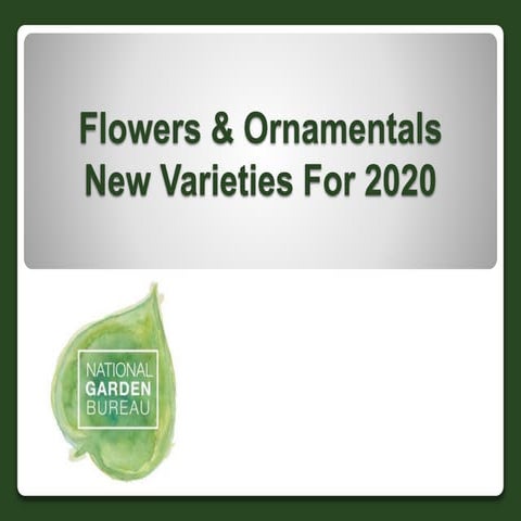 2020 NGB New Varieties Flowers and Ornamentals