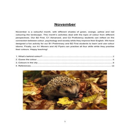 November 2020 - Cambridge English Teachers Activities 