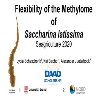 Flexibility of the methylome of Saccharina latissima