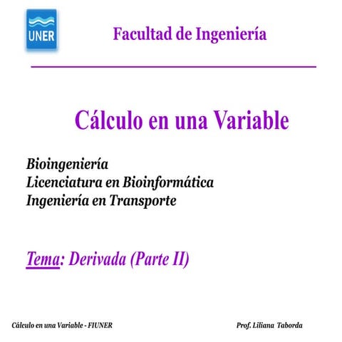 2020VirtualPresentación Teoría_Derivadas Parte  II.pdf