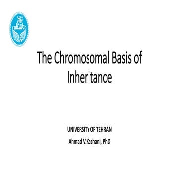 14 - The Chromosomal Basis of Inheritance