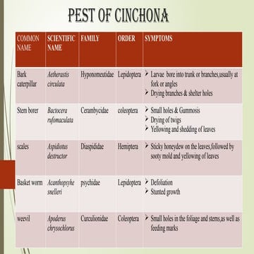 2021005033 asdewfewfdcvdvcewfwevdvdvdvdv.pptx