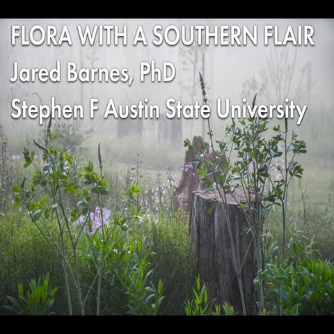 Native Flora with a Southern Flair