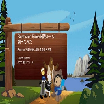 Restriction Rules(制限ルール)調べてみた