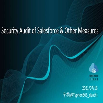 20210716 Security Audit of Salesforce & Other Measures