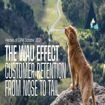 Jochen Missel: The “Wau” Effect of Customer Retention – The Importance of CRM...