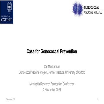 Professor Cal MacLennan