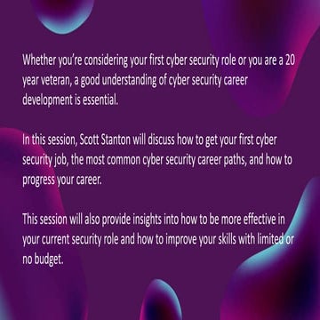 2021 BSides Tampa Cyber Security Careers