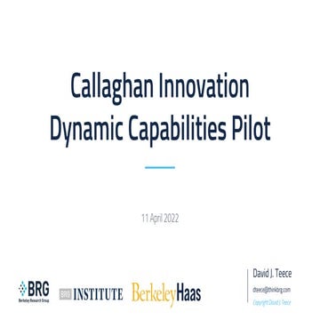 Callaghan Innovation Dynamic Capabilities Pilot 2022