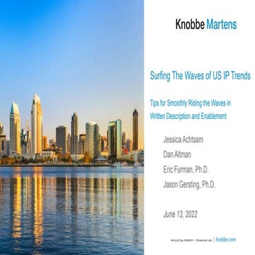 Surfing the Waves of US IP Trends: Tips for Smoothly Riding the Waves in Writ...