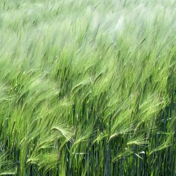 HUMAN-AI INTERACTION 관점에서 새로운 HCI/UX 씽킹 전략