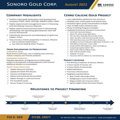 2022.08.03_Sonoro-Gold_Fact-Sheet_2-Page-Summary.pdf