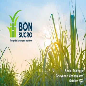 Bonsucro Global Week 2022 - Social Dialogue | PPTX