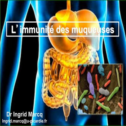 20220224 cours immunité des muqueuses .pdf