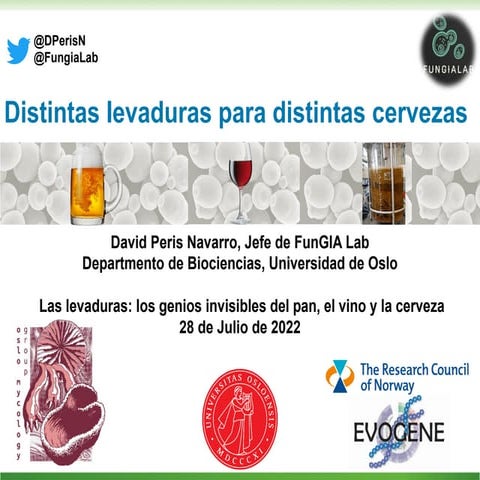 Distintas levaduras para distintas cervezas