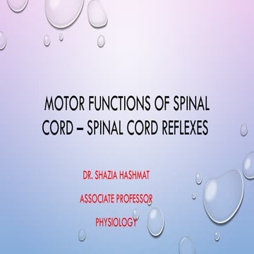 2022  Reflex arc  Motor Functions of Spinal Cord (1).pptx
