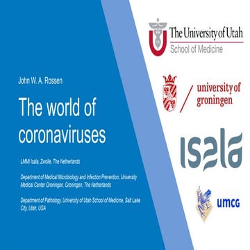 The world of coronaviruses