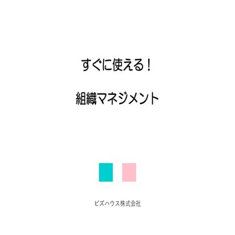 orgteam-management-bizseminar_2022_v1.pdf