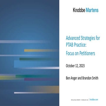 Advanced Strategies for PTAB Practice: Focus on Petitioners