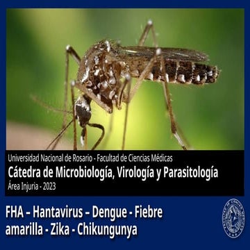 2023-Injuria-02A-Virus hemorragicos.pptx