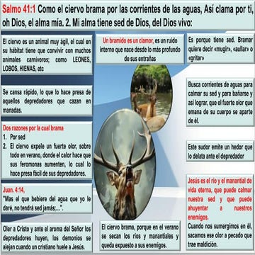20231212 El ciervo brama por las aguas.pdf
