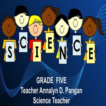 2023 cnt.  USEFUL and HARMFUL MATERIALS.pptx