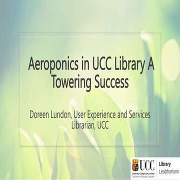 Aeroponics in UCC Library, a towering success