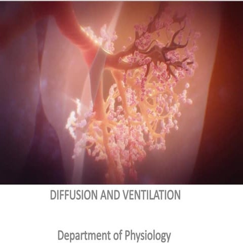 Diffusion and ventilation.pptx respiratory
