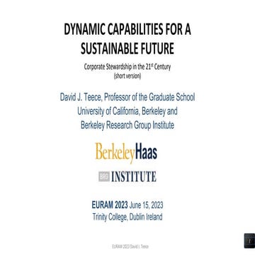 Dynamic Capabilities for a Sustainable Future