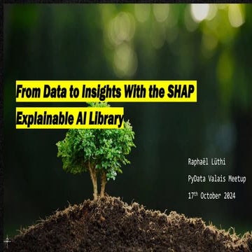2024-10-17 PyData-Valais-01 Raphael Luthi SHAP