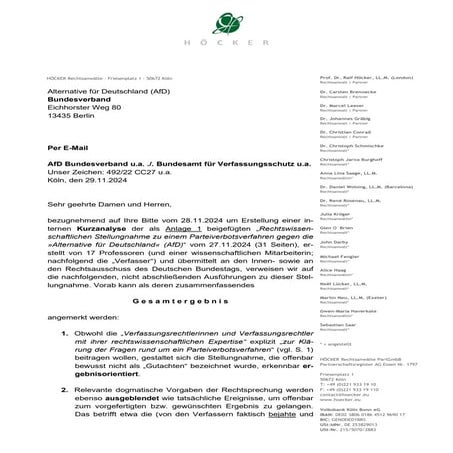 Kurzanalyse RA Dr. Christian Conrad zur Stellungnahme wg. Parteiverbot AfD vom 27.11.2024.pdf
