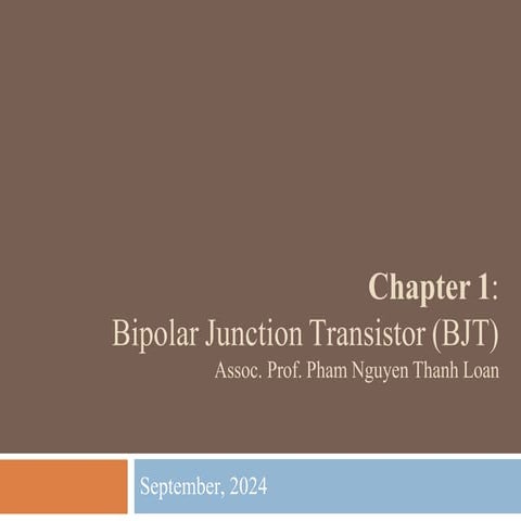 20241_Chapter 1eg regdfgdfhdfh dfhdf hd_BJT.pdf