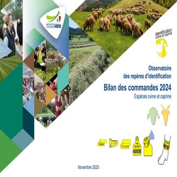 Observatoire des repères d’identification - Bilan des commandes 2024 - Espèce...
