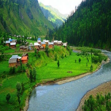 International Health Organizations and Nursing.baqar.pdf