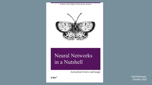 Neural Networks in a Nutshell: A practical review and usage