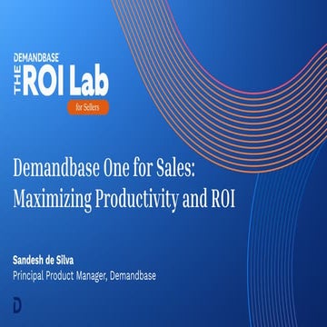 2025-ROI Lab Sales_DB1S Maximizing Productivity_Slides.pdf