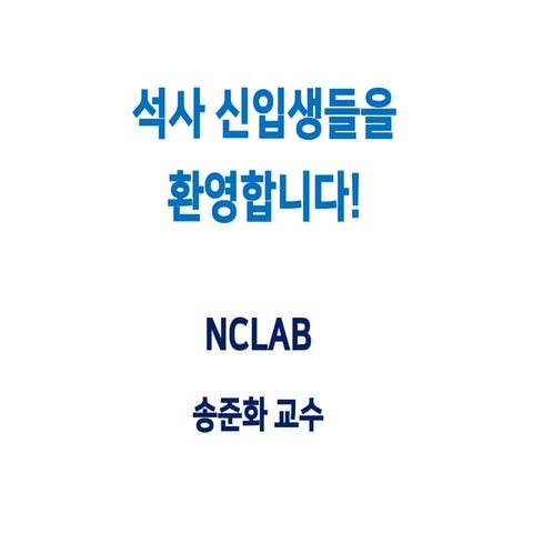 KAIST_NCLab_2025_Spring_Presentation.pdf