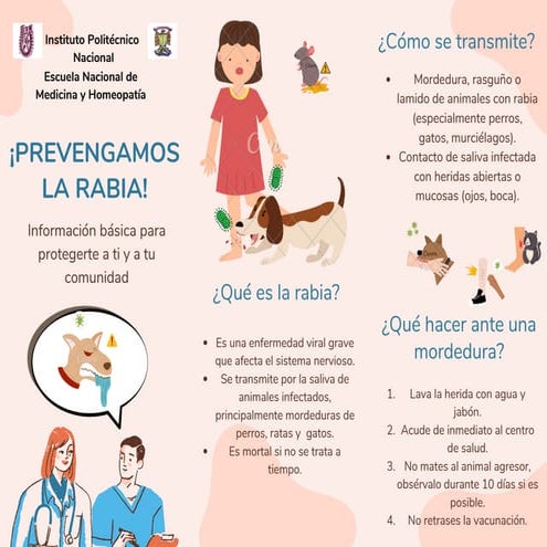 MODELO TRIPTICO CONTRA LA RABIA | PDF