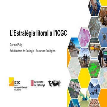 Estratègia litoral a l’Institut Cartogràfic i Geològic de Catalunya