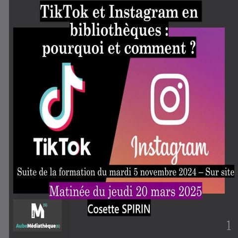 Instagram et TikTok en bibliothèques : pourquoi et comment ? (Suite)