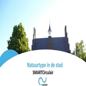 Meander | Biodiversiteit | Breng de natuur in de stad