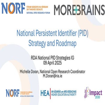 20250409 RDA National PID Strategies IG.pdf