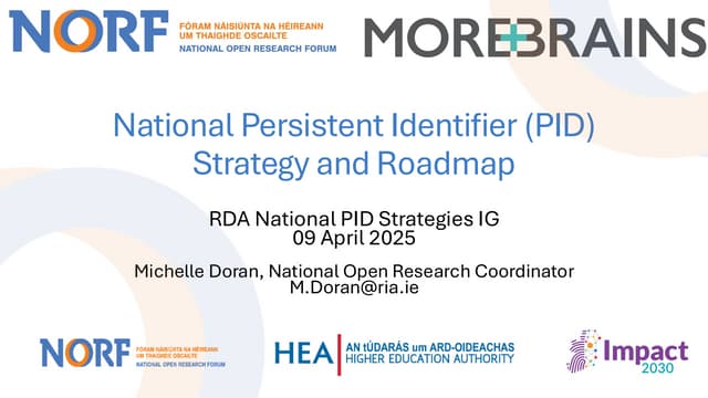 20250409 RDA National PID Strategies IG.pdf
