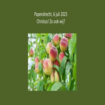 20250706Ro6v3en4xlevenmetChristusoke.pdf