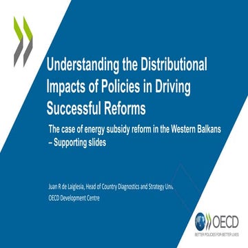 Disaggregating Data for High Impact Development Policies -workshop- 29-oct-2025, Juan De Laiglesia