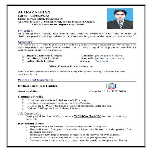 Ali Raza CV | PDF