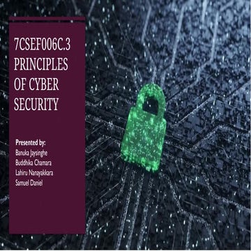 2025 final presentation for samueld.pptx