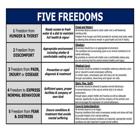 2025 Animal FIVE FREEDOMS Summary sheets | PDF